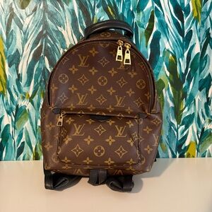 Louis Vuitton Palm Spring Backpack PM